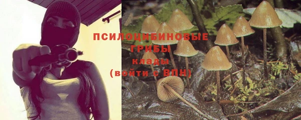 не бодяженный Михайловск