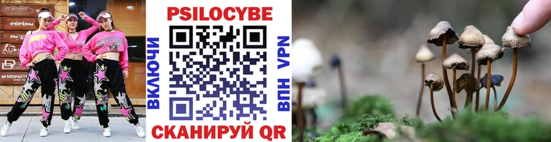 Галлюциногенные грибы мицелий  ОМГ ОМГ как войти  Шилка  где купить  